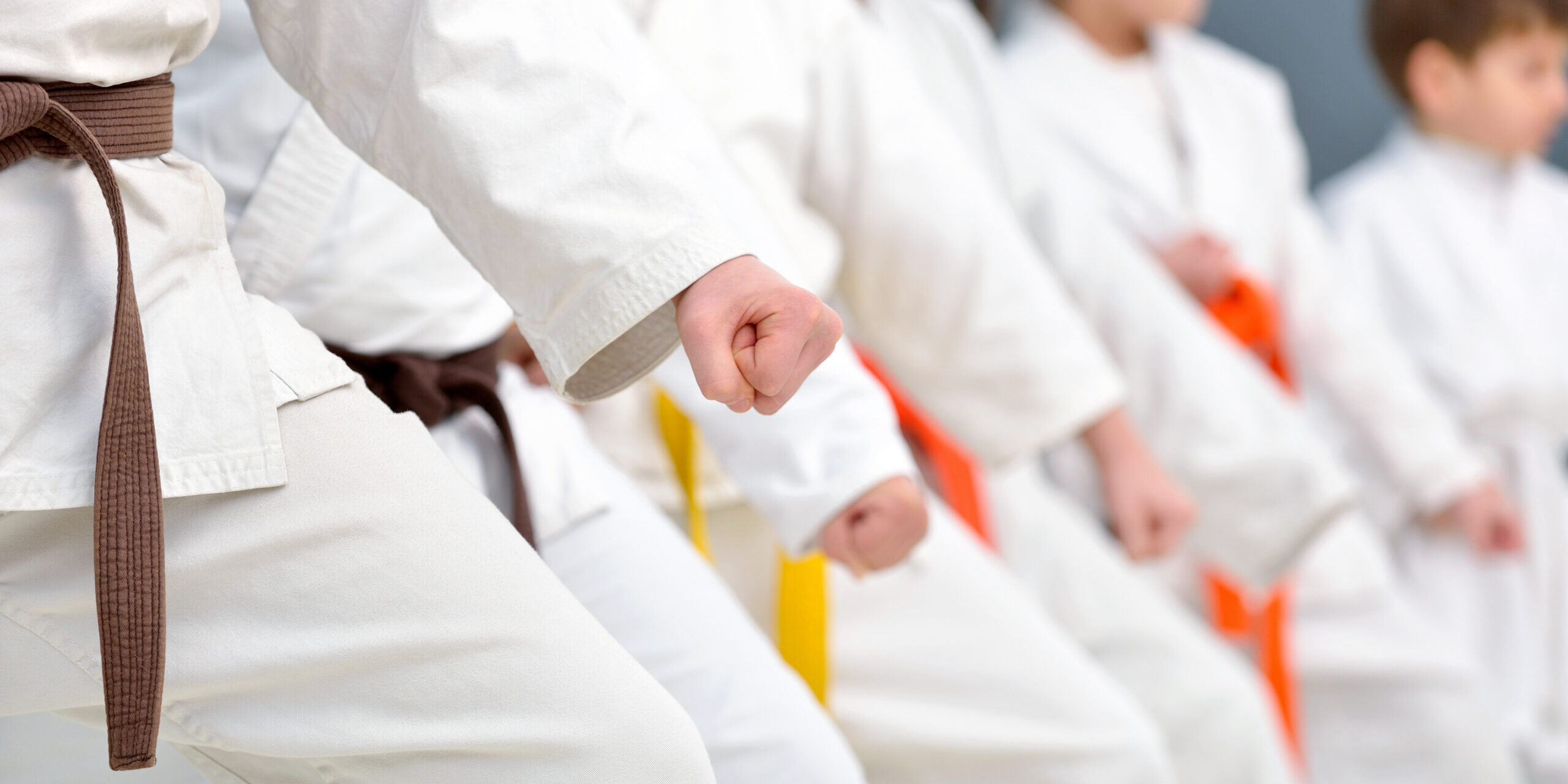 Young,,Beautiful,,Successful,Multi,Ethical,Karate,Kids,In,Karate,Position